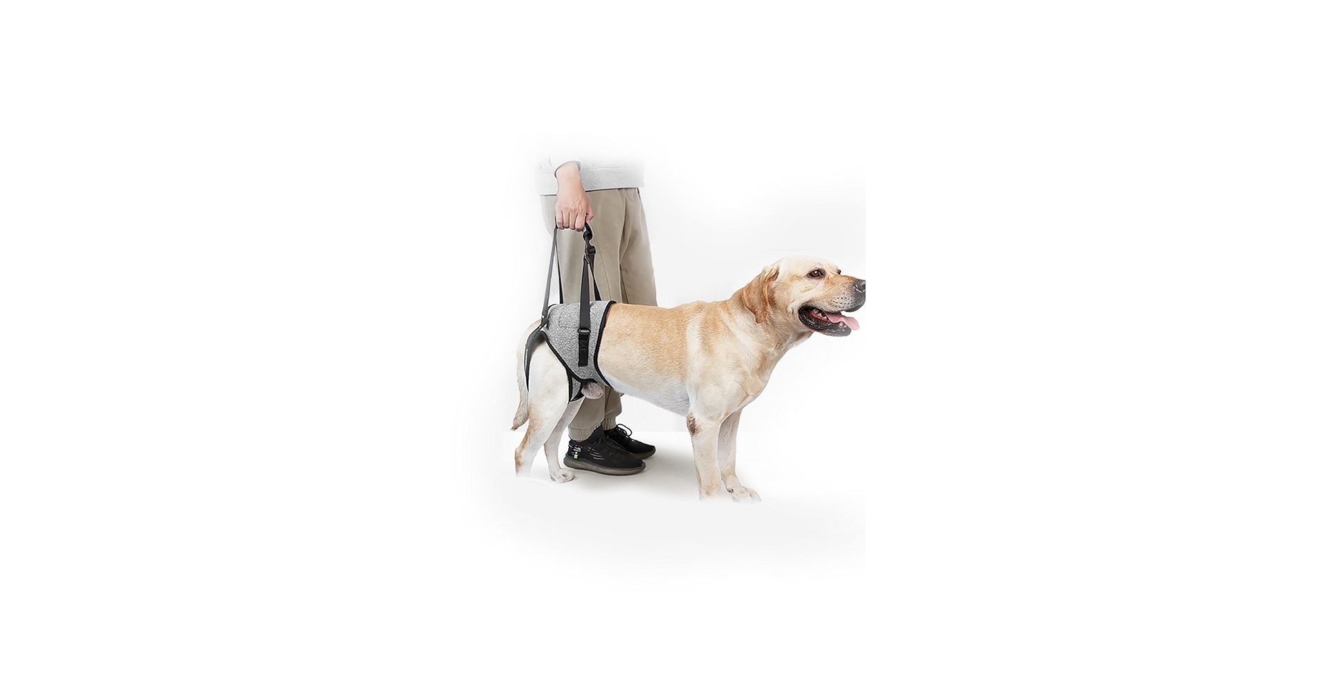 義足　犬 3Dプリンターでペットたちに新たな義足を！ 突然通告された愛犬